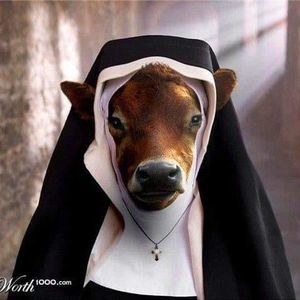 Meet your Posher, Patty